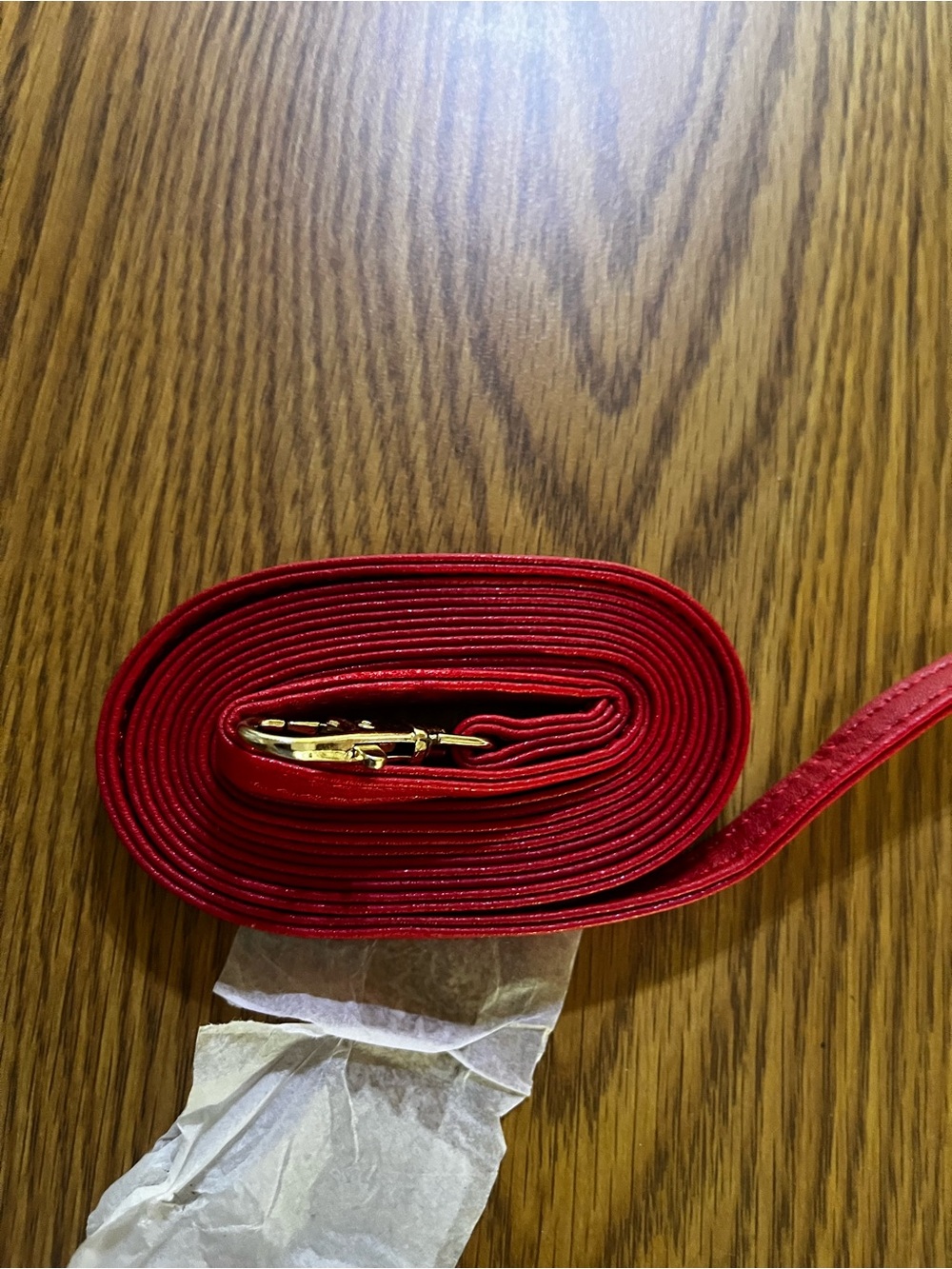 Red Slim Leather Crossbody Strap with Gold Hardware